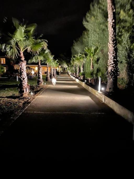 Grande Villa St-Tropez Area Avec Piscine Chauffee 盖辛 外观 照片
